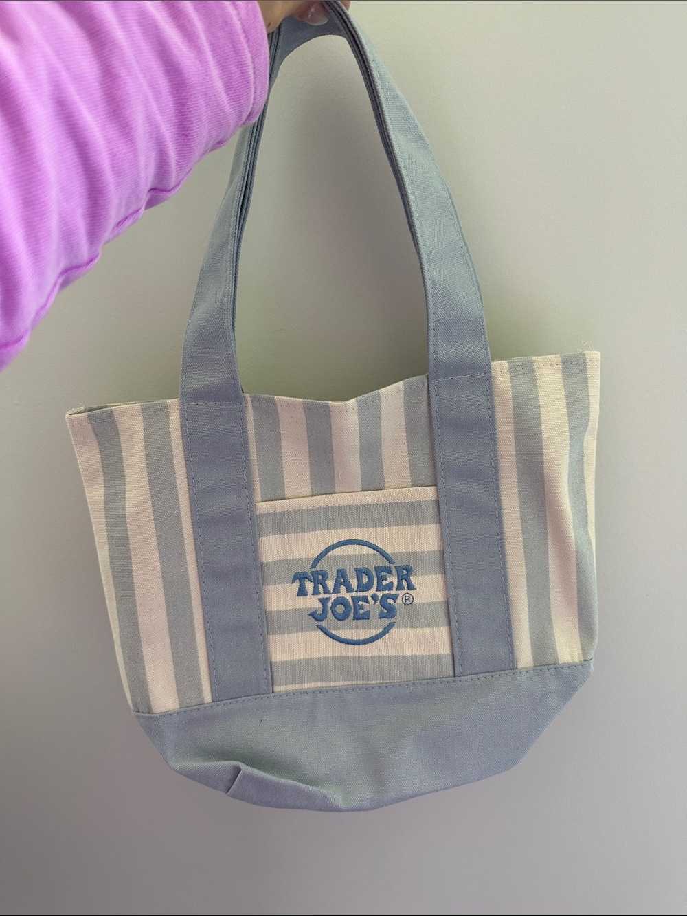 Trader Joe’s canvas mini tote bag